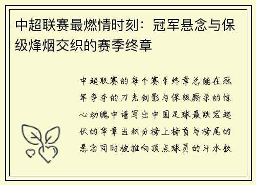 中超联赛最燃情时刻：冠军悬念与保级烽烟交织的赛季终章